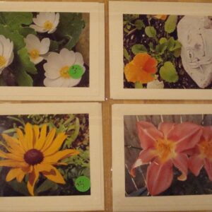 Floral Photo Notecard by Nancy Arbeene