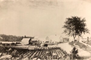 On the Farm